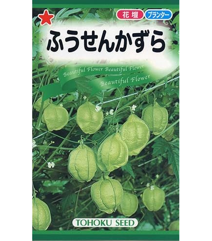 Amazon | 【種子】風船かずら [1037] | 草